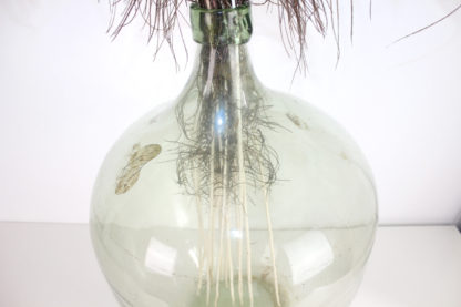 Vintage Weinballon | Ballonflasche -- hellgrün 50l – Bild 6