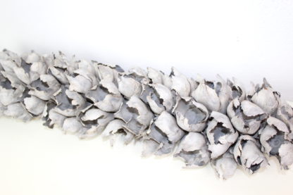 Cacho de Coco weiß | Palmenblüte – Bild 3