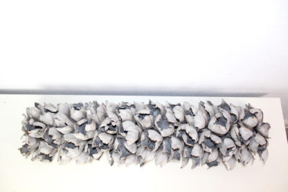 Cacho de Coco weiß | Palmenblüte – Bild 7