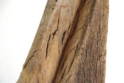 Balken aus Eiche | Fachwerk | antik – Bild 3