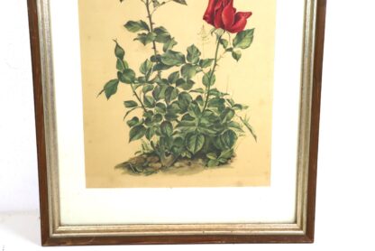 Bild | Rote Rosen | Holzrahmen | vintage – Bild 3